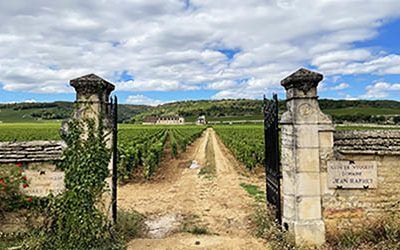 Burgundy wine route through the Côte d’Or