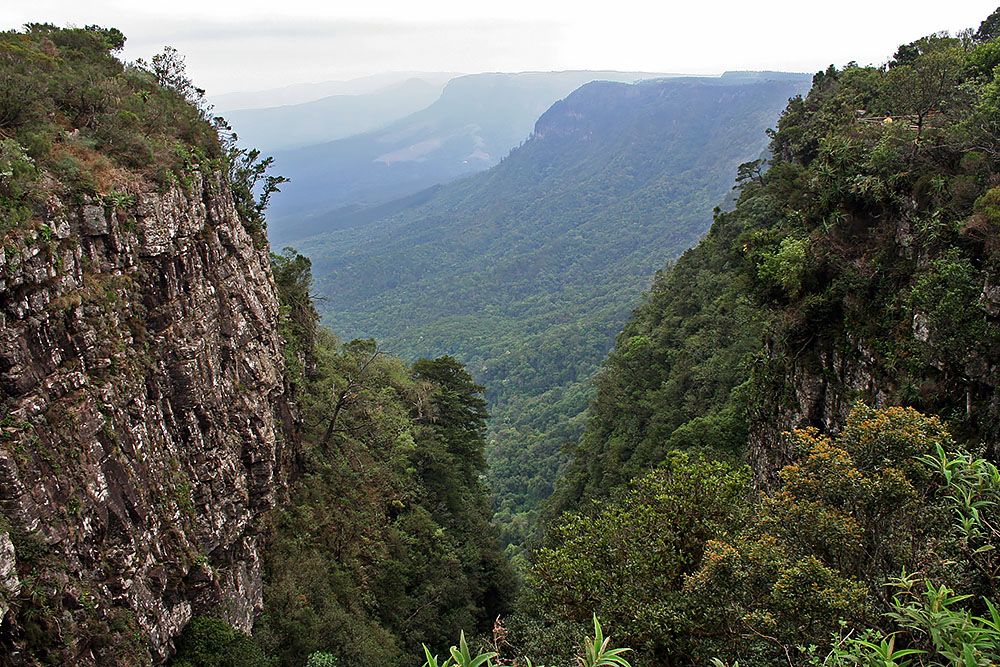 the canyon