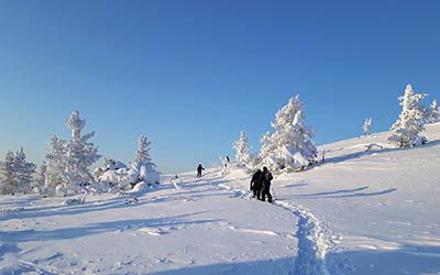 The best winter sports areas in Finnish Lapland