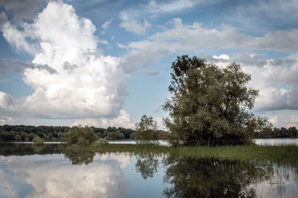 Nature reserve