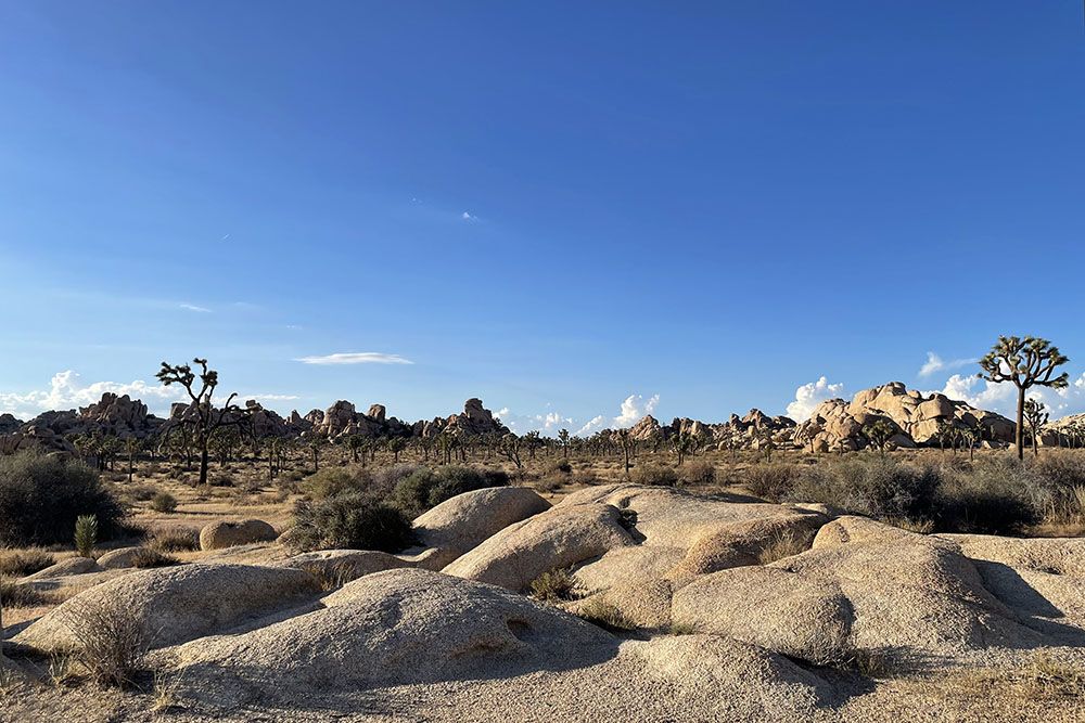 Boulders in Joshua Tree National Park