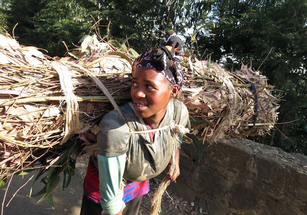 Wood picker