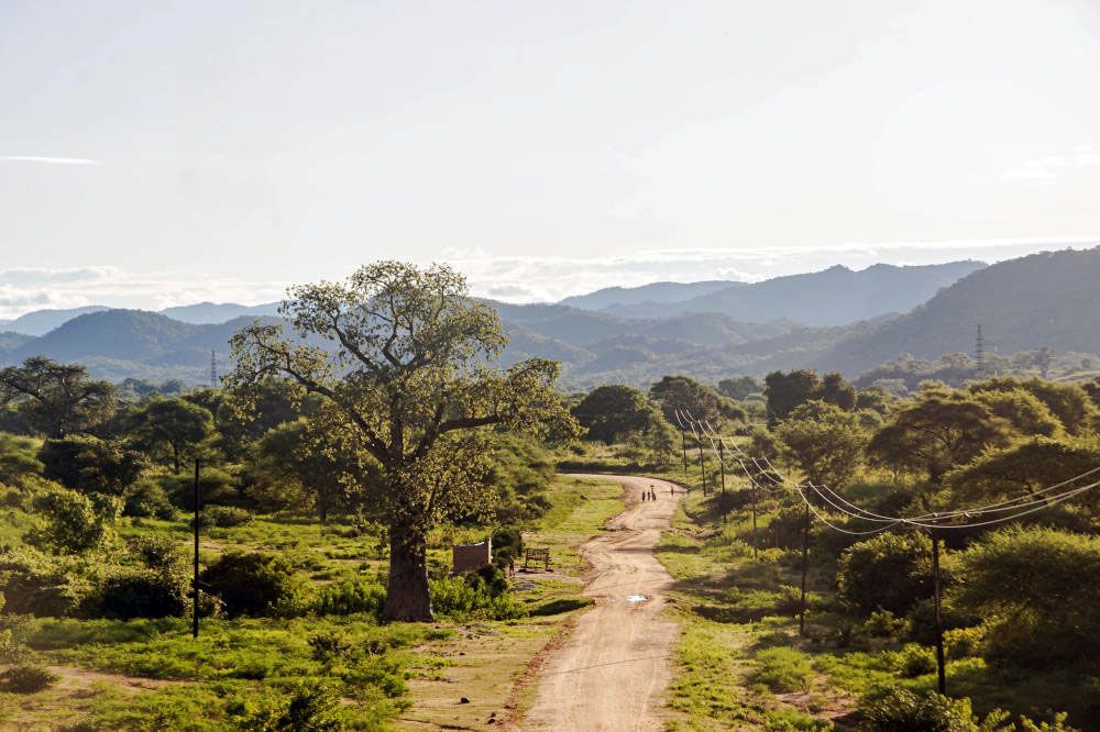 Zambia