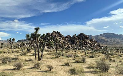 Hiking fun in Joshua Tree National Park