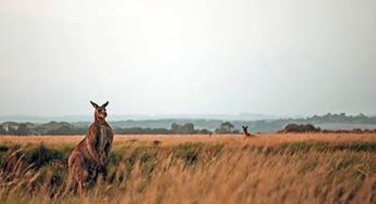 Australia