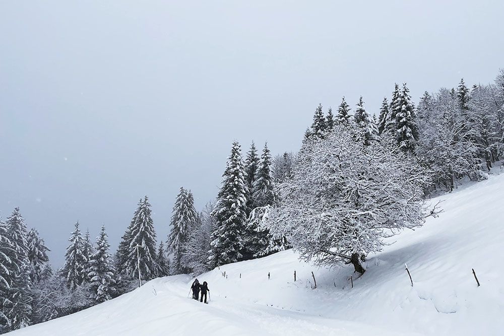 Hikers