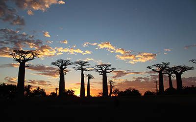 Madagascar