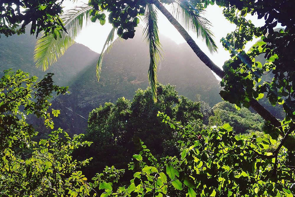 Iao valley