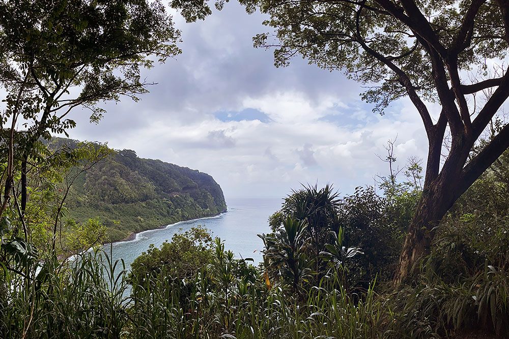 View at Road to Hana