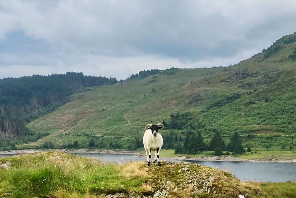 Trossachs