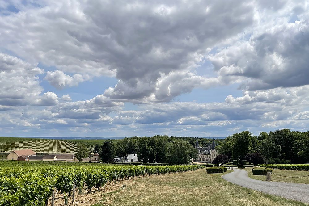 Castle at a vineyard
