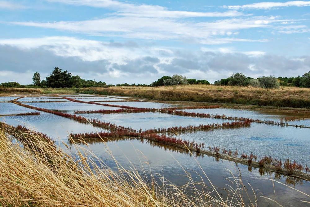 Salt lakes