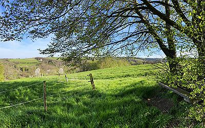 Walking past World War II memorial sites in the Eifel region