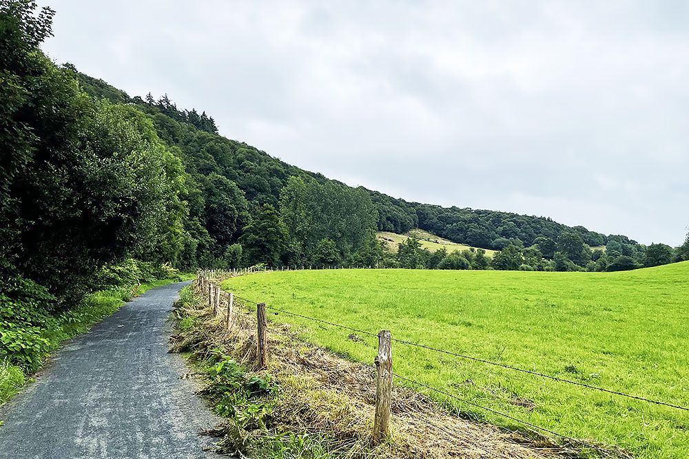 Ardennes-ish landscape
