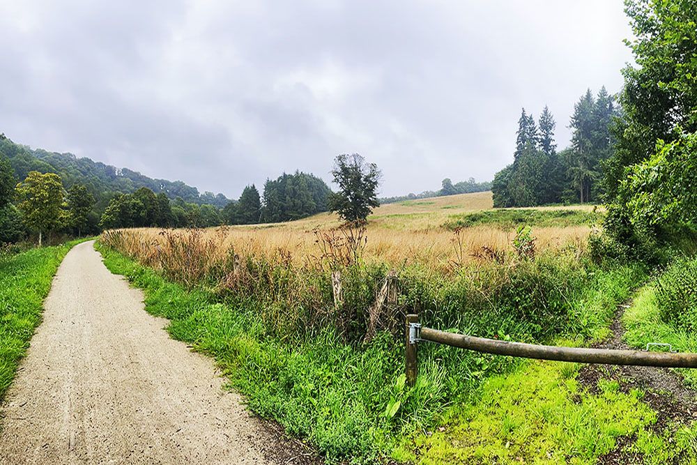 Rolling landscape