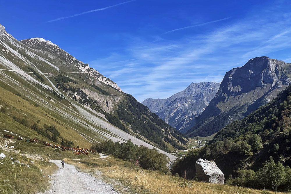 mountainbiking