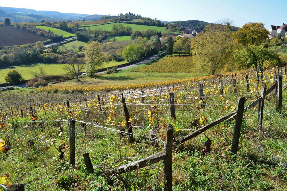 Vineyards