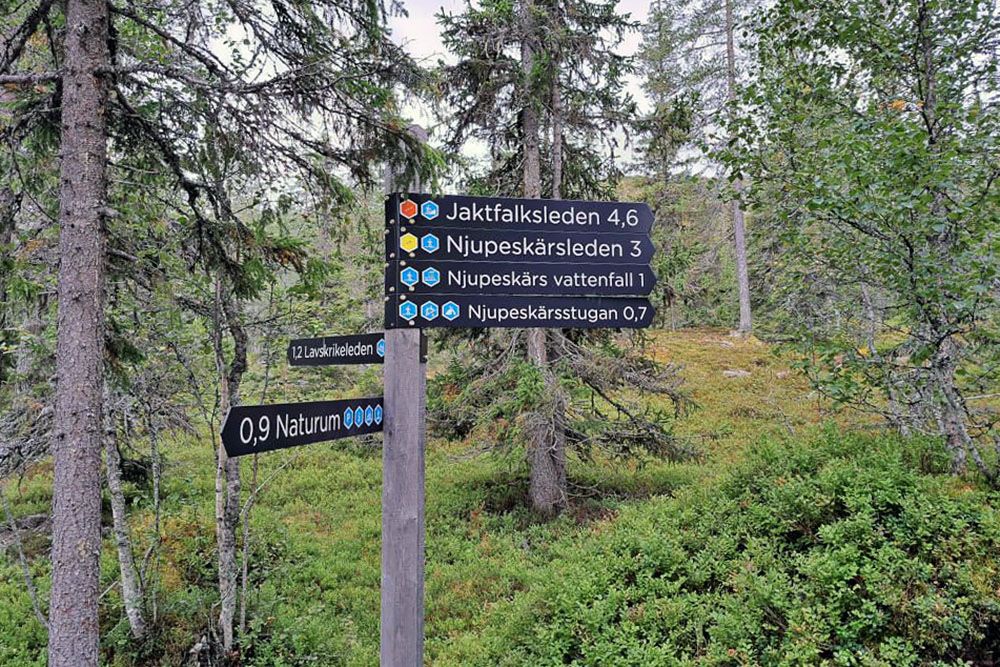 Hiking trails in Dalarna