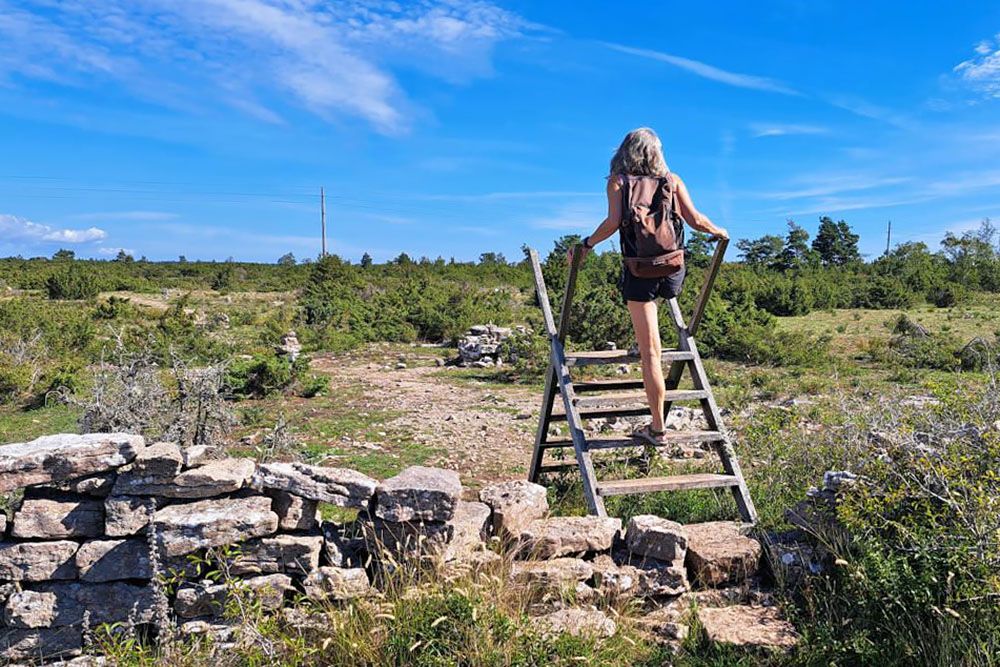 Hiker on Öland