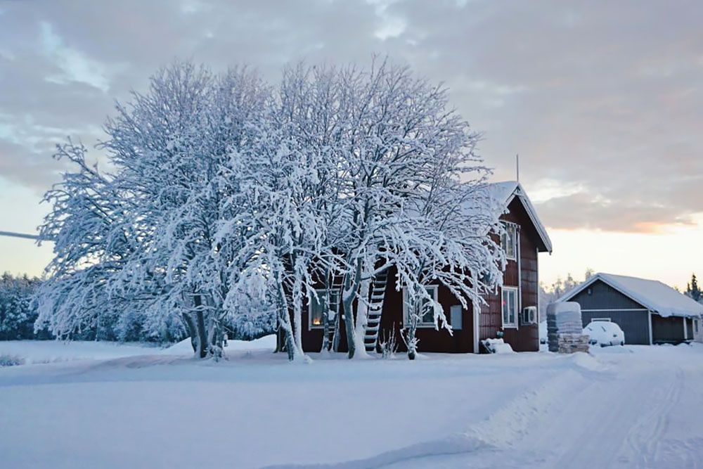 Sweden in winter