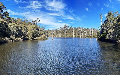 Hiking and wine tasting in the Margaret River region