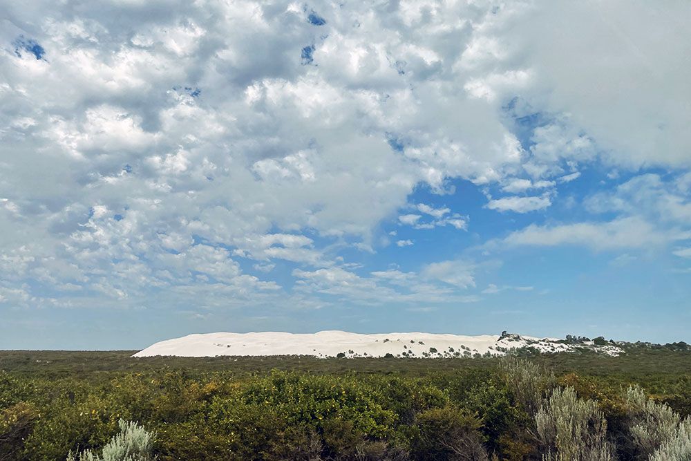 white dune