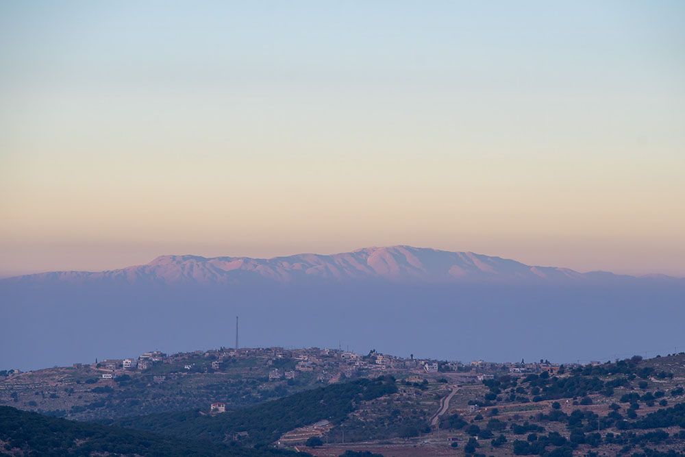 Aljoun Forest Reserve