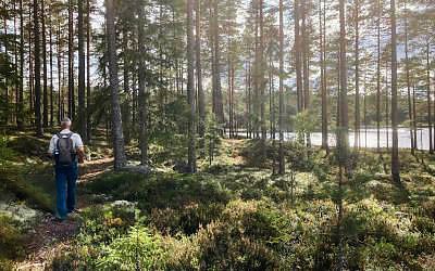 Beautiful hike from Kloten Nature Resort in Dalarna