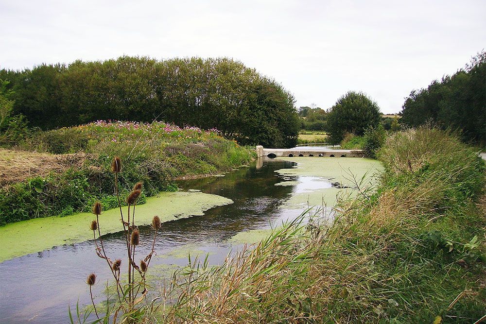 Nature park