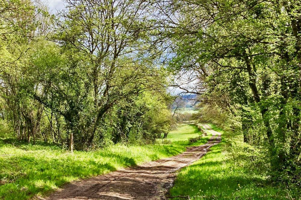 Dirt road