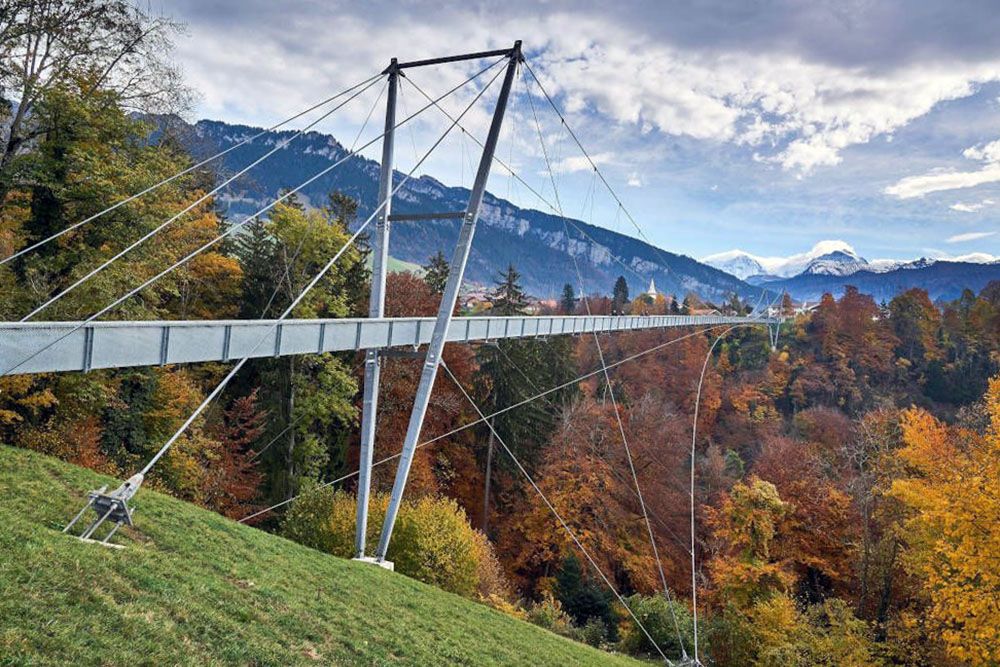 Suspension bridge