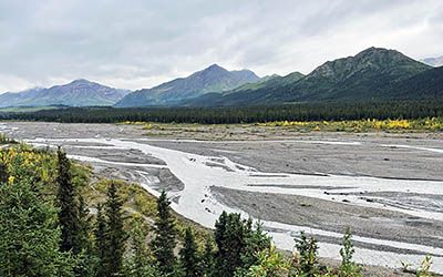 Denali National Park: Top Attraction of Alaska
