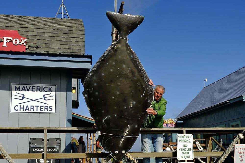 Halibut