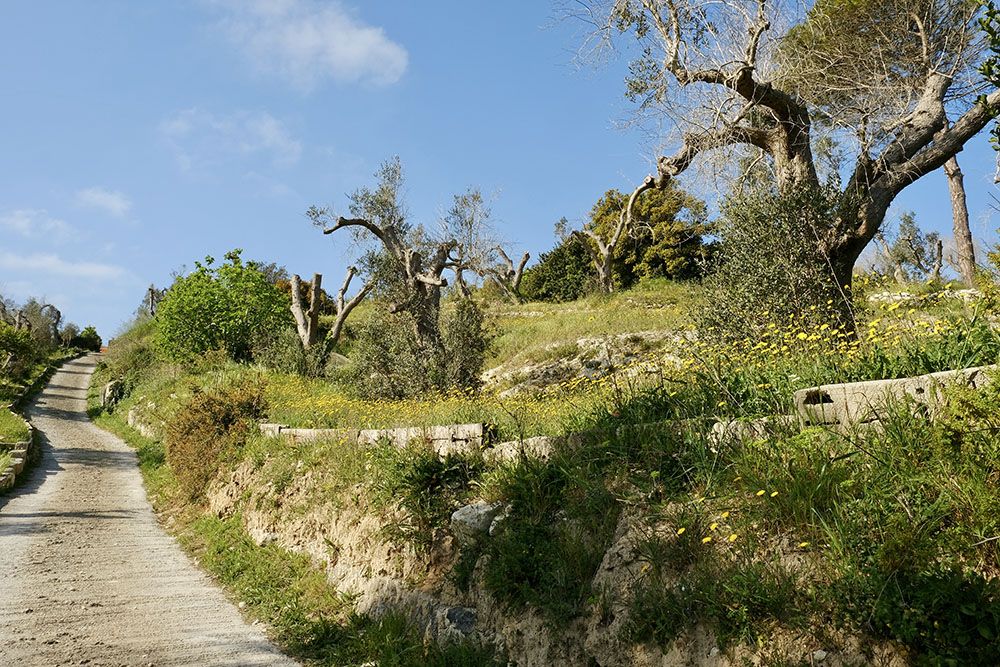 Cammino del Salento - photo 11