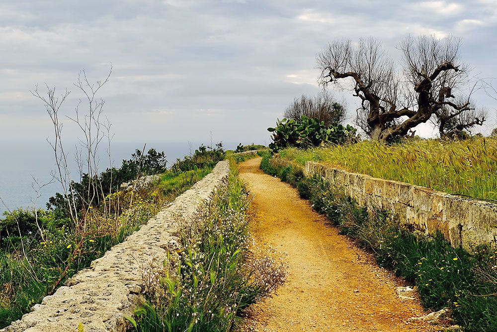 Cammino del Salento - photo 13