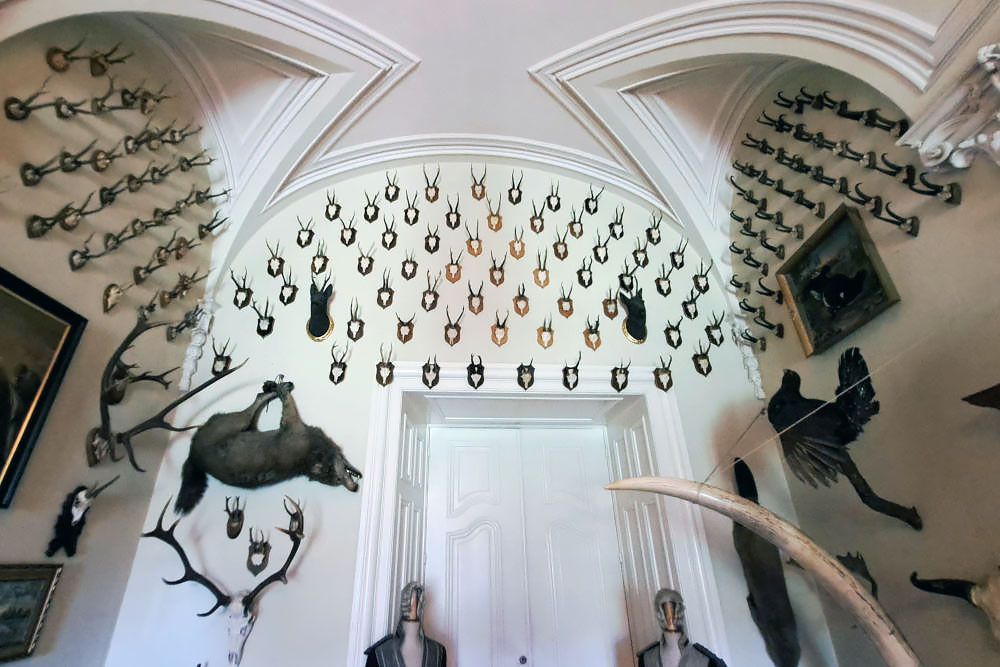 Pszczyna Castle A Palace Of International Allure Silver travellers Pszczyna Castle A Palace Of International Allure Silver travellers