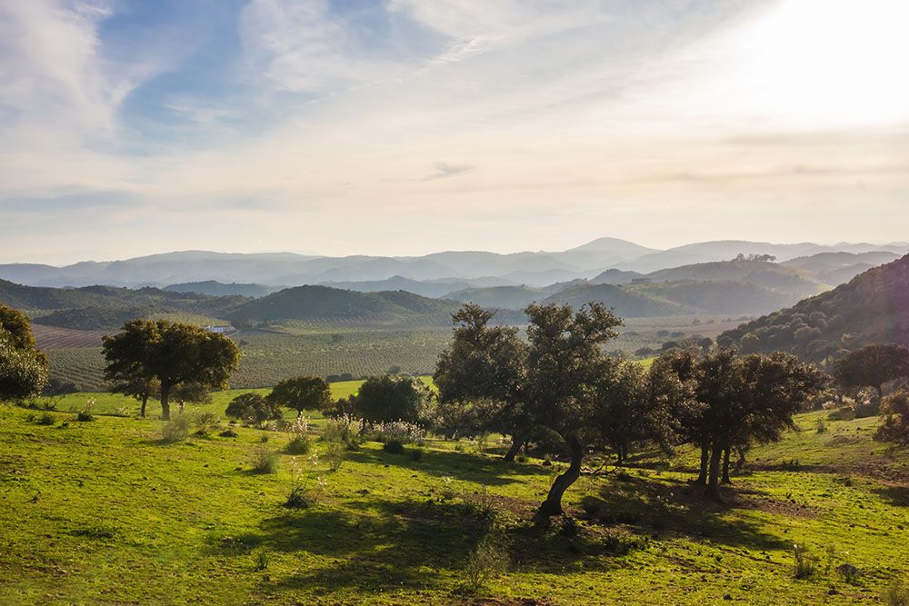 silver-travellers-spain-highlight-caminos-de-pasion-part2-nature-mobile Nature along the Caminos de Pasión