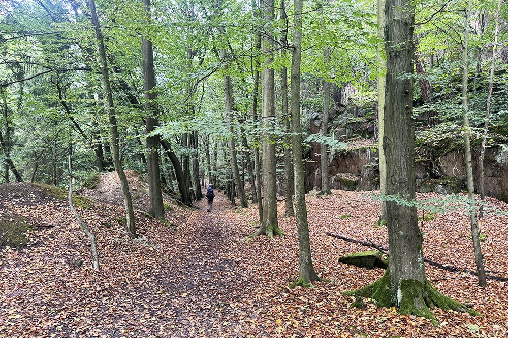 silver-travellers-germany-highlight-malerweg-stage1-hiker1-mobiel Hiker