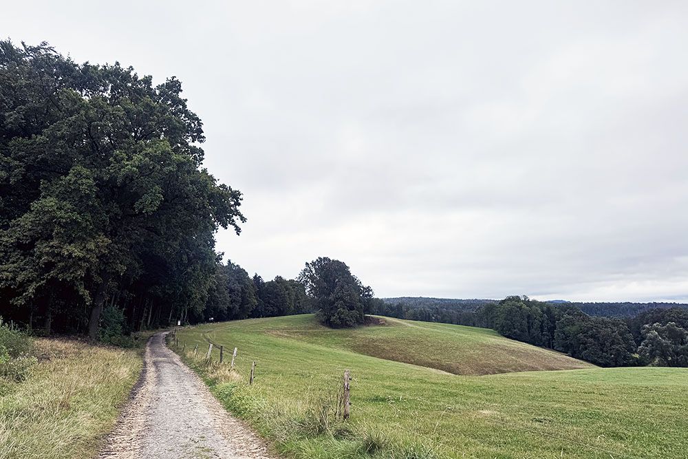 silver-travellers-germany-highlight-malerweg-stage1-rolling-pastures-mobiel pastures