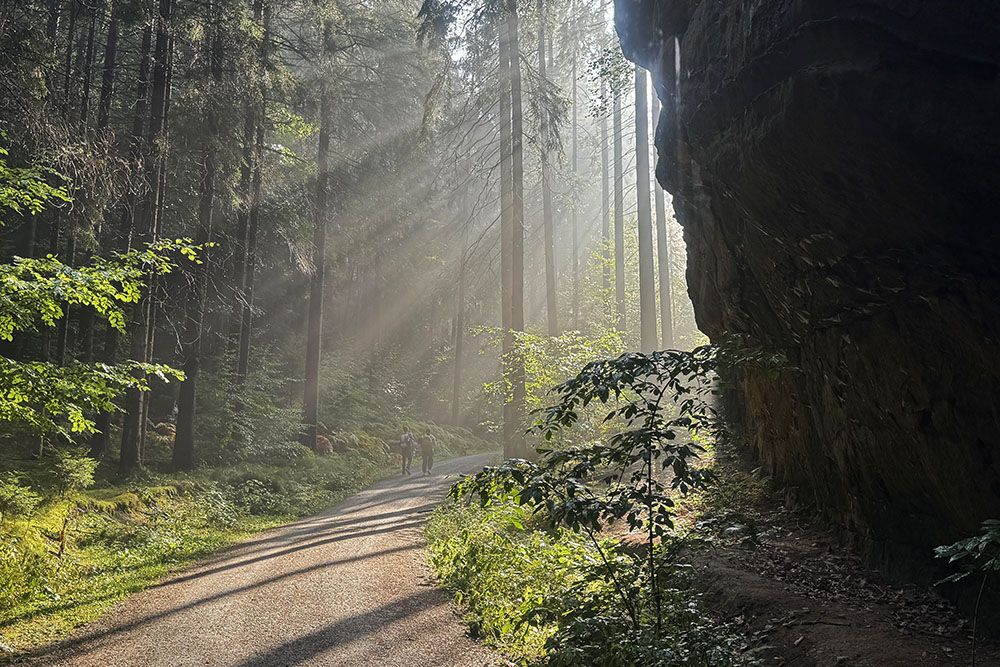 silver-travellers-germany-highlight-malerweg-stage4-hikers1-mobiel Hikers