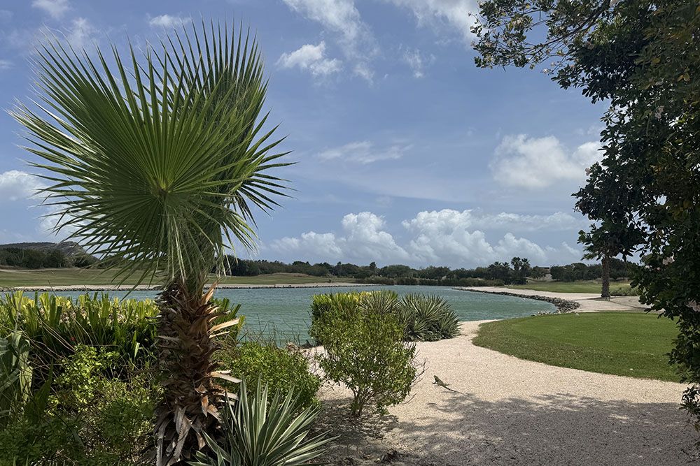 silver-travellers-dutch-caribbean-curacao-highlight-golf-blue-bay-bunker-mobile Bunker