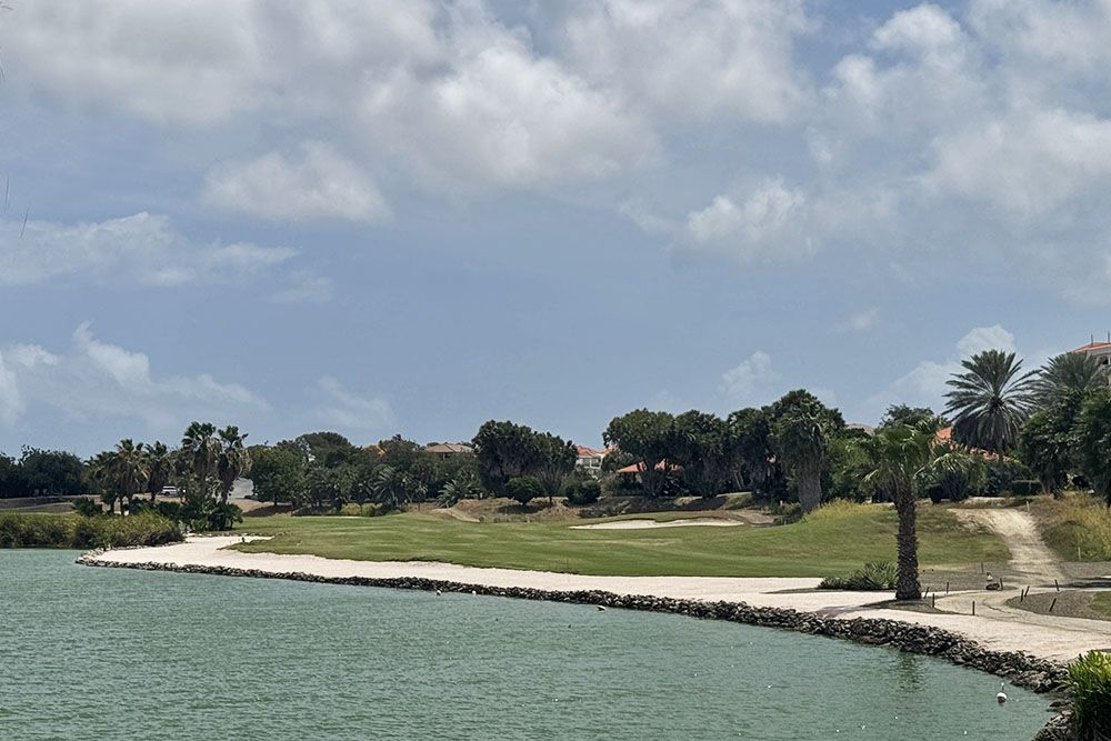 silver-travellers-dutch-caribbean-curacao-highlight-golf-blue-bay-flamingos-mobile flamingos