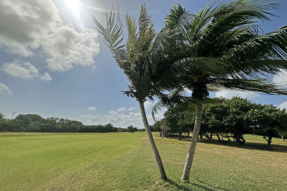 silver-travellers-dutch-caribbean-curacao-highlight-golf-cgsc-palms-mobile palms