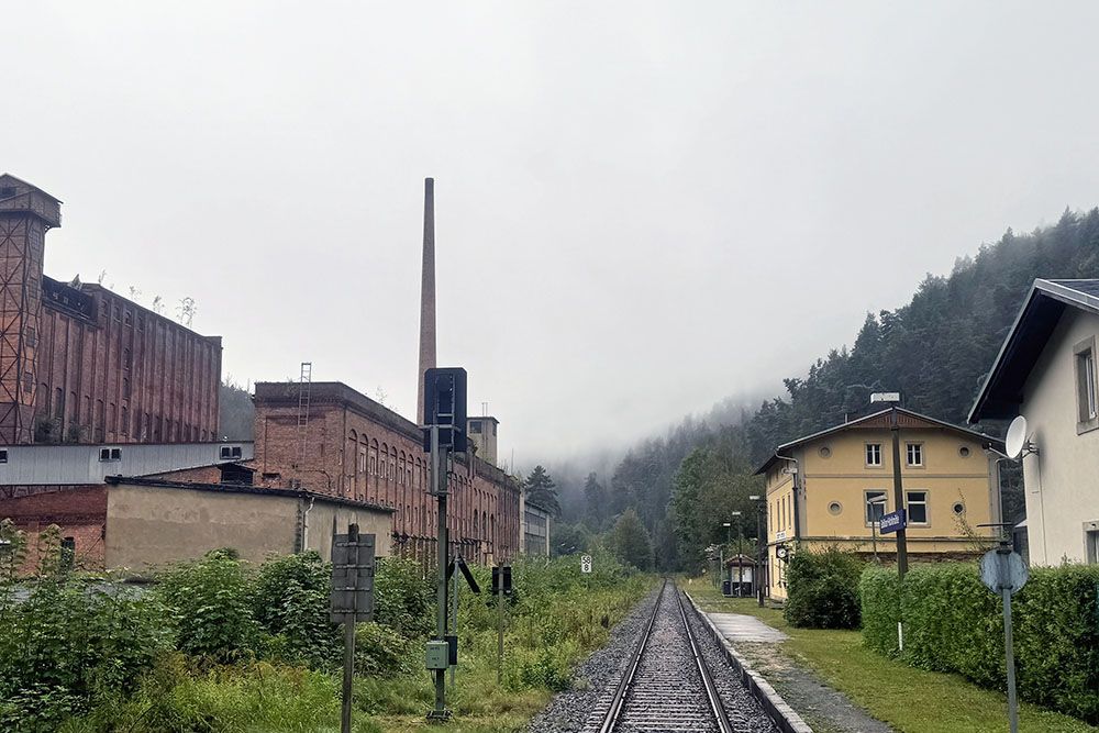 silver-travellers-germany-highlight-malerweg-stage3-plant-mobile Old plant