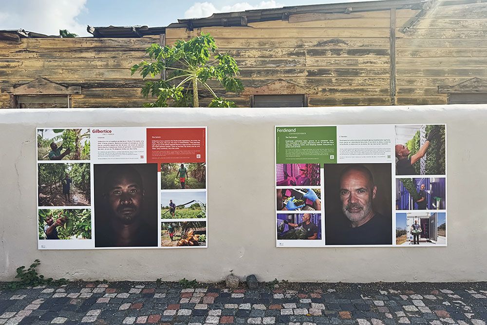 silver-travellers-dutch-caribbean-curacao-highlight-willemstad-part2-otrobanda-groen-project-mobile The Hidden Green Movement: Sustainable Oasis in Willemstad, Curaçao