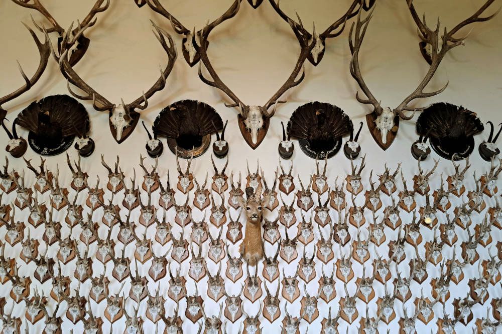 Hunting trophies