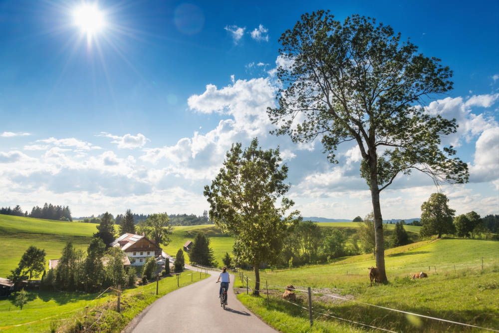silver-travellers-germany-highlight-romantic-road-cycle-path Cyclist