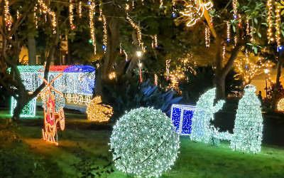 Ten Reasons to Visit Madeira in December