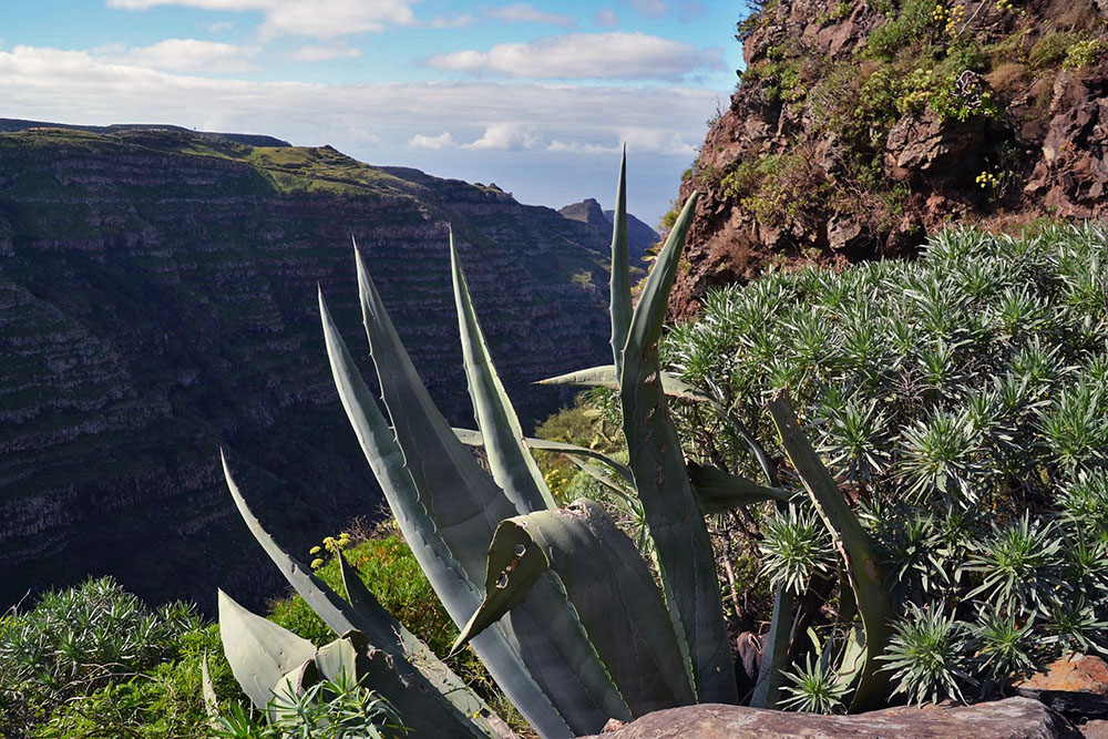 Mountainous landscape