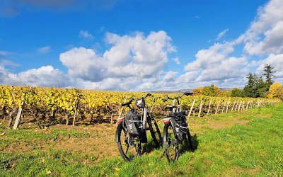 Relaxed E-Bike Tour through Southern Burgundy